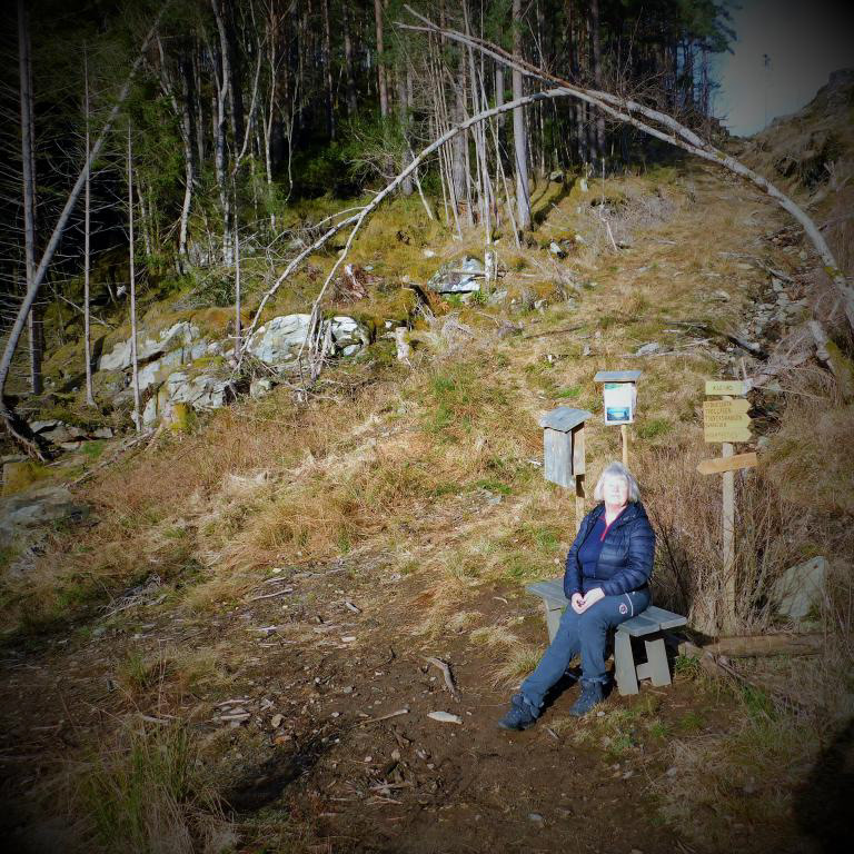 På oppturen er det godt å få kvila på ein av benkene som er sett ut. Her ved KLEIVO. Februar 2023.