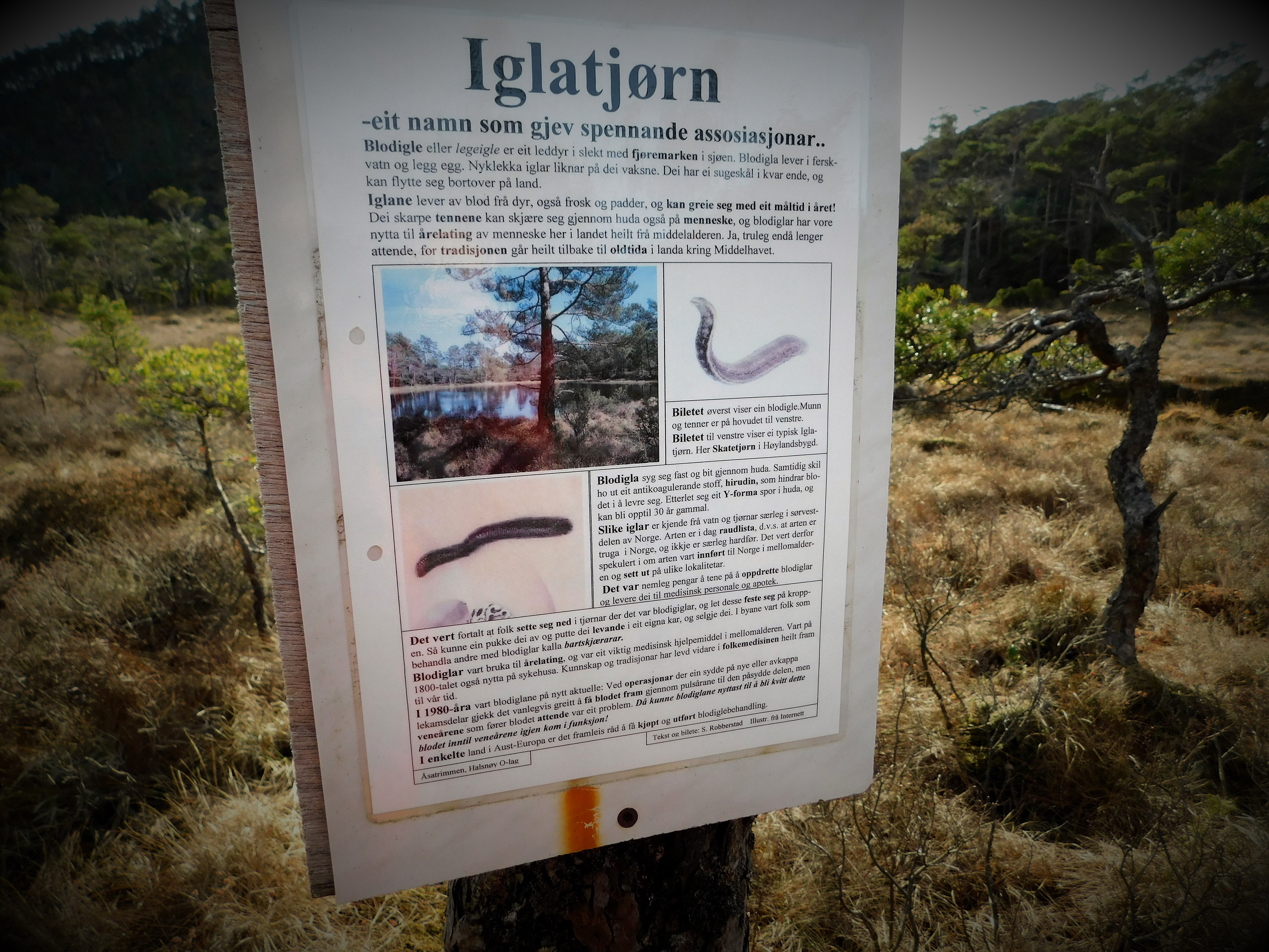 Informasjon ved Iglatjødno.