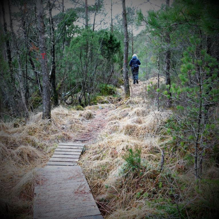 Sørover frå SKARET er det berre lett og fint å gå. Februar 2023.