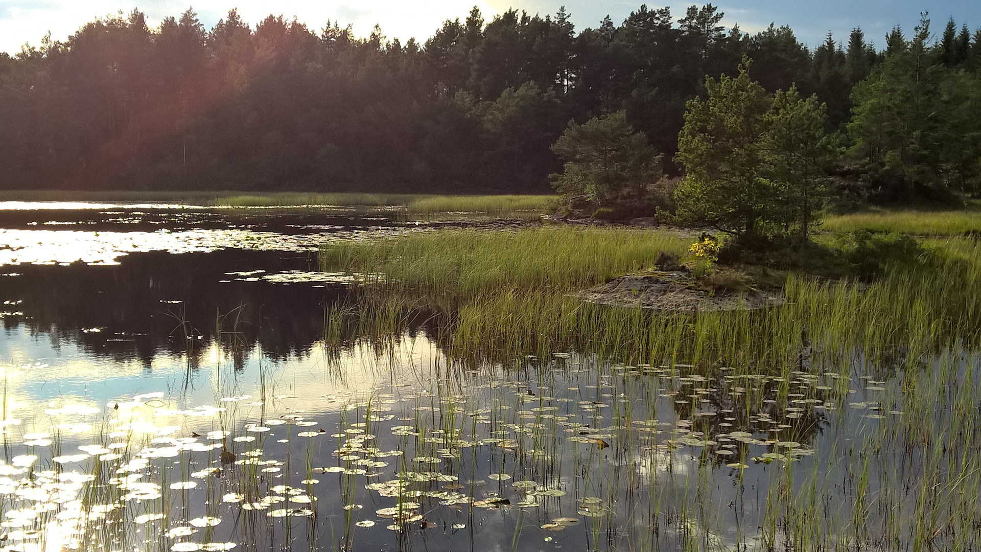 Du passerer det nydelege Fatlandsvatnet på vegen.