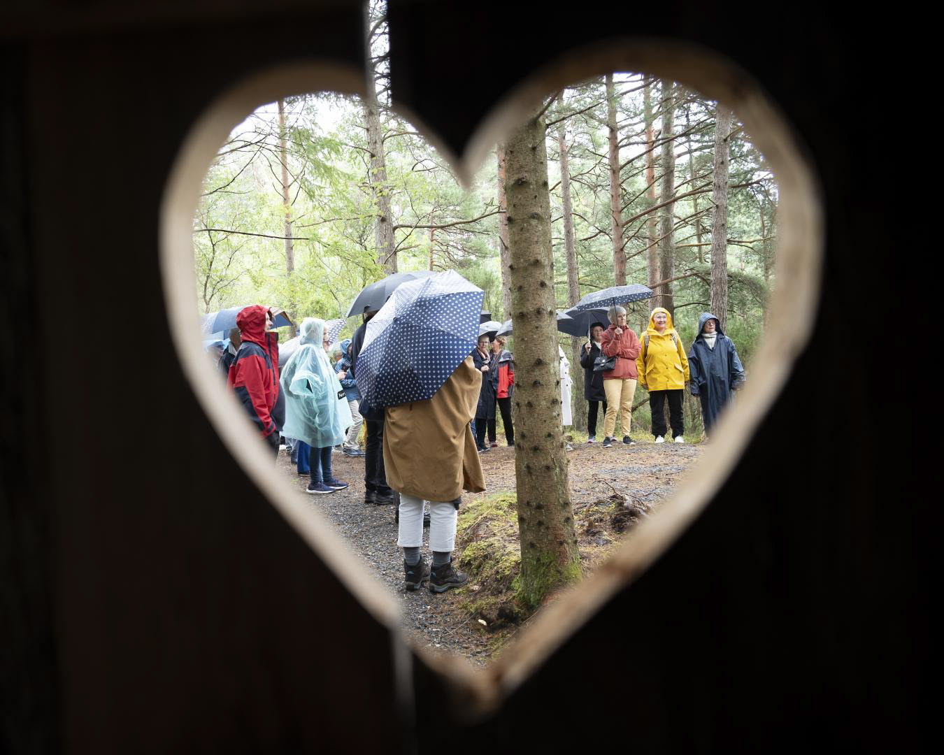Spennande for kongen å sitja inne og sjå på folket utanfor. Foto Atle Helland. August 2024.