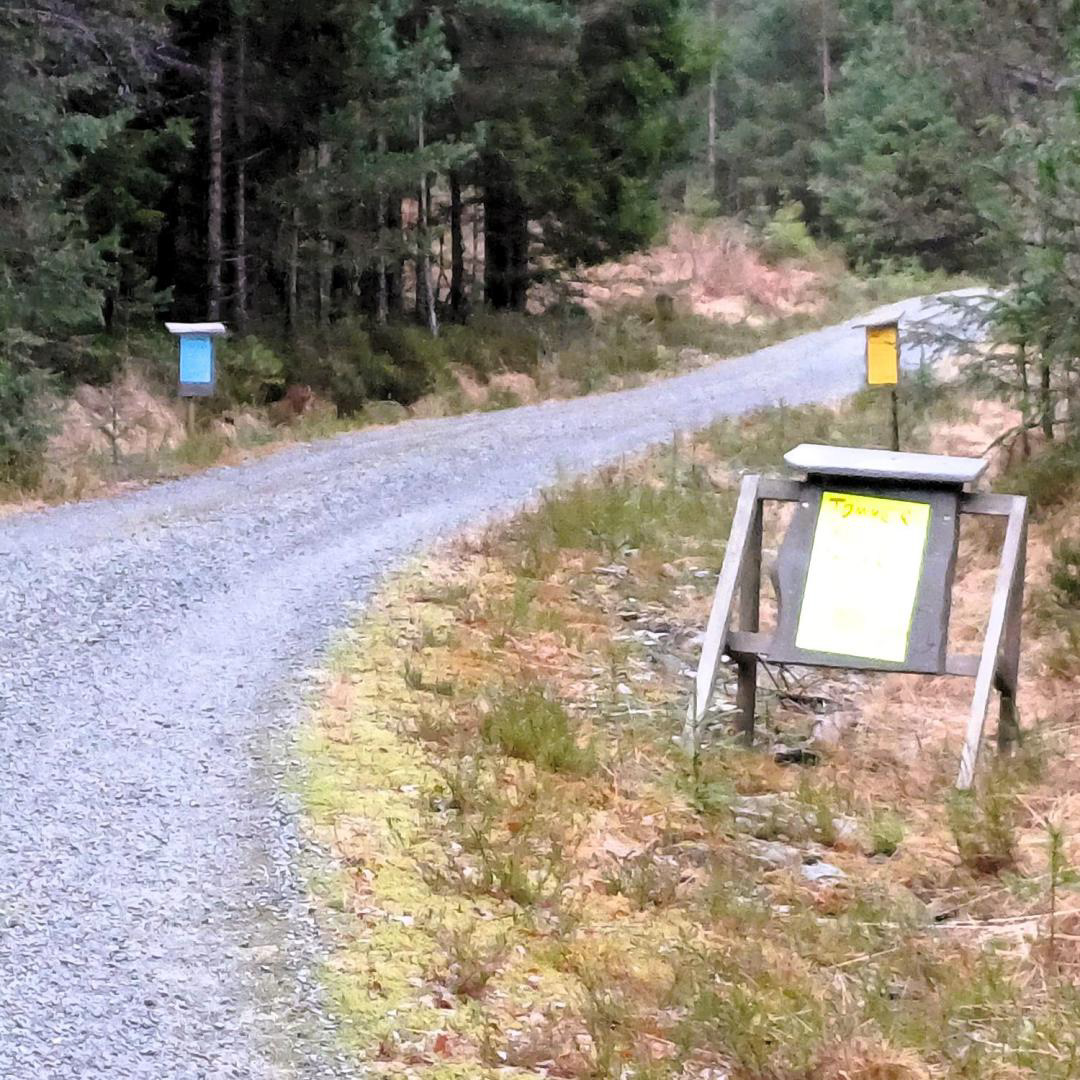 Her startar hogstfeltet. Du har ingen problem med å sjå det, for desse plakatane gir deg informasjonen du treng. Berre gå roleg vidare innover vegen.