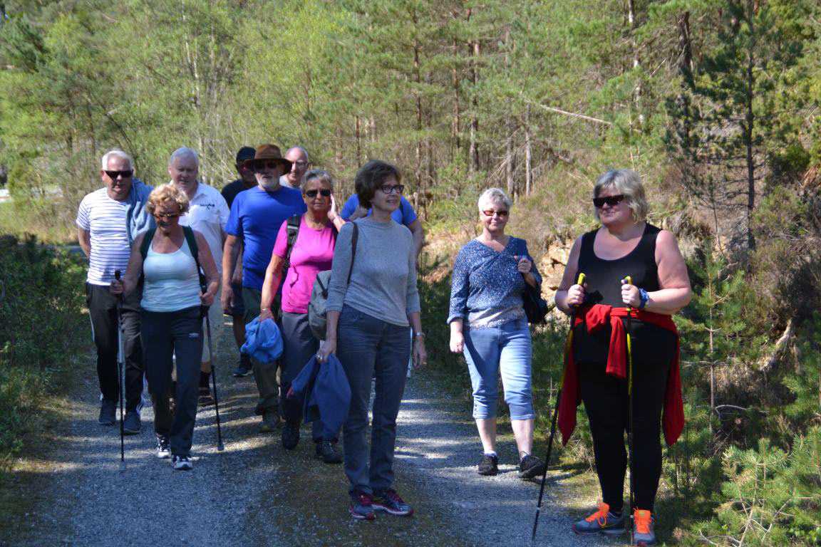 HAUG&HAMMER innover i FATLANDSKOGEN ein annan dag. Foto: Ole Horn.