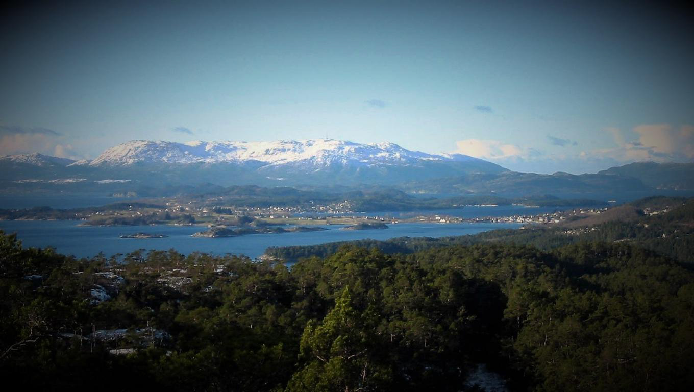 Utsikt mot vest (Sæbøvik litt til høgre) frå toppen av Tjobergshaugen.