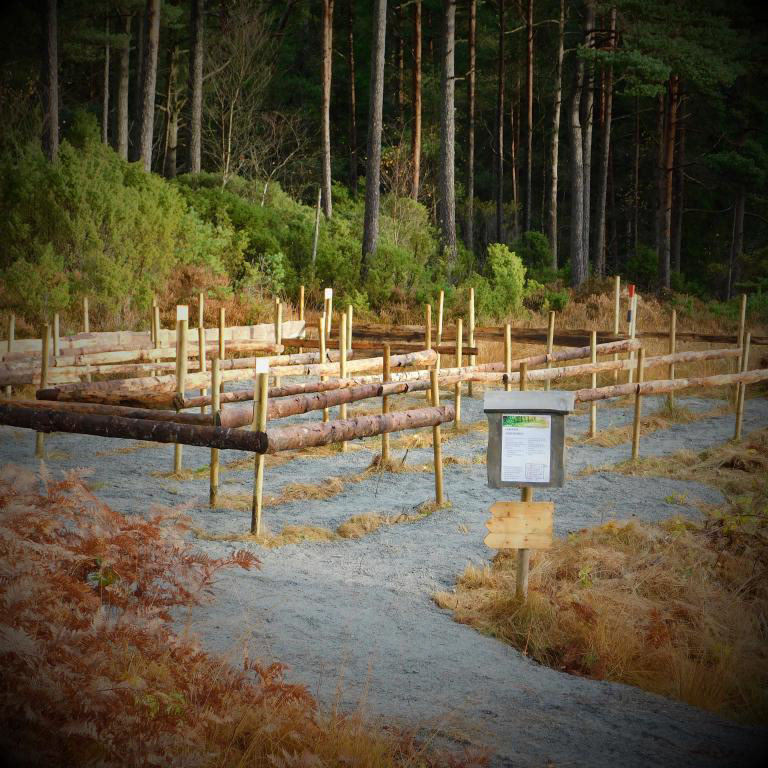Her i LABYRINTEN kan du prøva deg på labyrint-orientering, ein artig variant av orienteringsløp i mini-format. Oktober 2022.