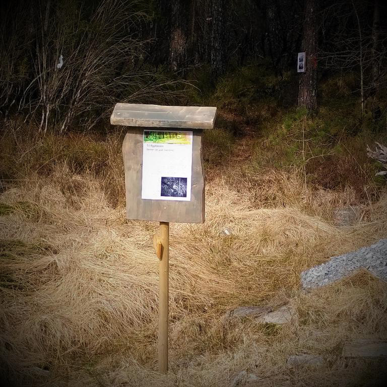 Her startar Flyplassvegen. I bakgrunnen ser du den første av Sigvald sine infoplakatar. April 2023.