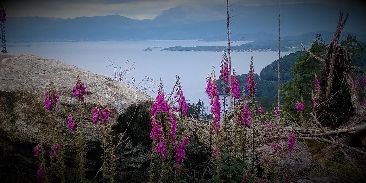 Frå utsiktspunktet ser du halve Sunnhordland.