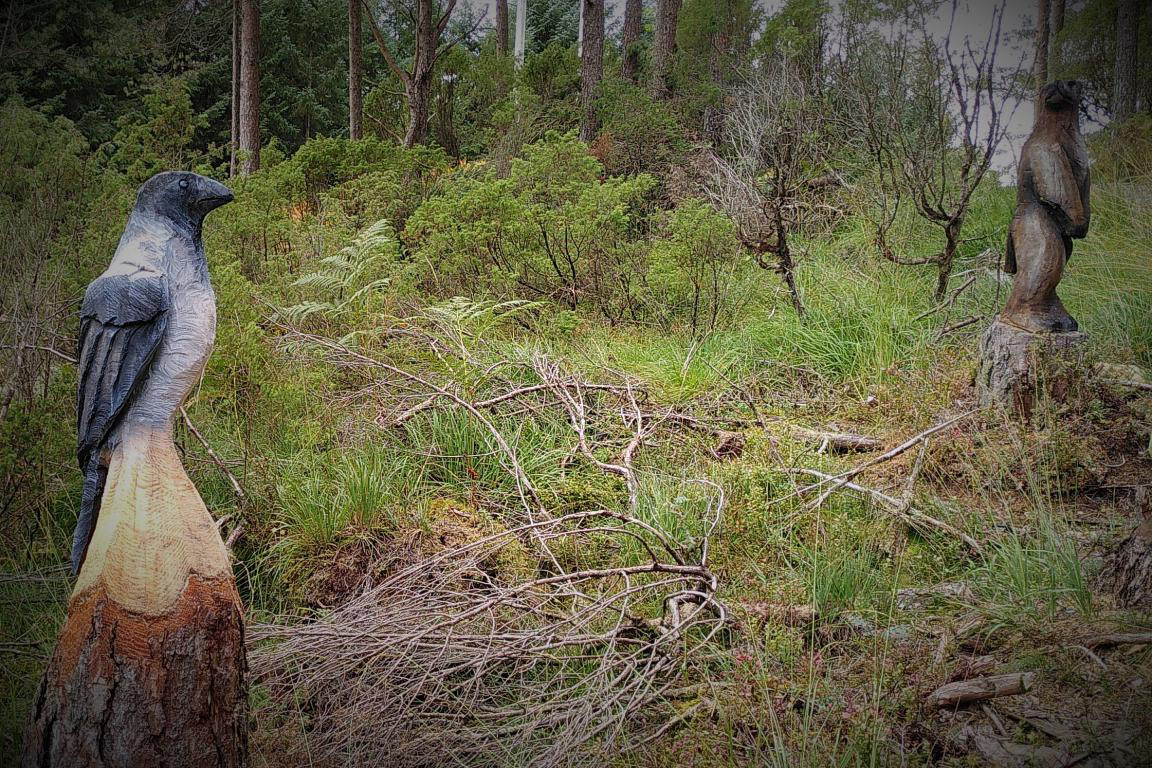 Kråka ertar visst bjørnen, som snur seg vekk.