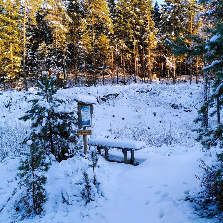 Kvilebenker finn du både her og der, sommar som vinter. Desember 2023.