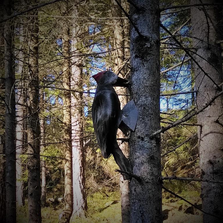 Reven ligg under bjørkerot, og haren hoppar på lette fot. Slik song Bjørnstjerne Bjørnson.