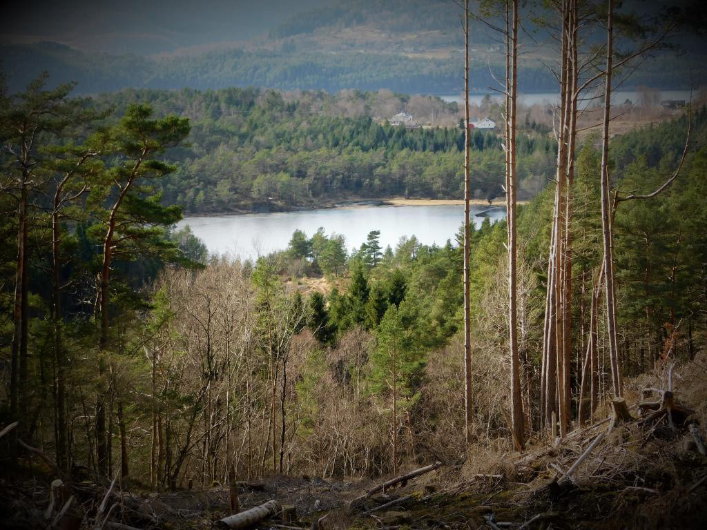 Fatlandsvatnet, med Sydnessundet i bakgrunnen, sett frå Skaret.