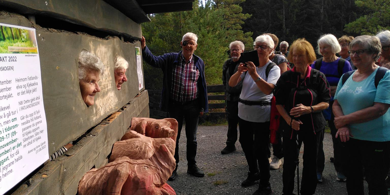 SVIN PÅ SKOGEN er ein artig og populær attraksjon. September 2022.