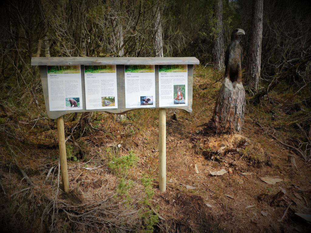Plakatane informerer om dyra på ein oversiktleg måte.