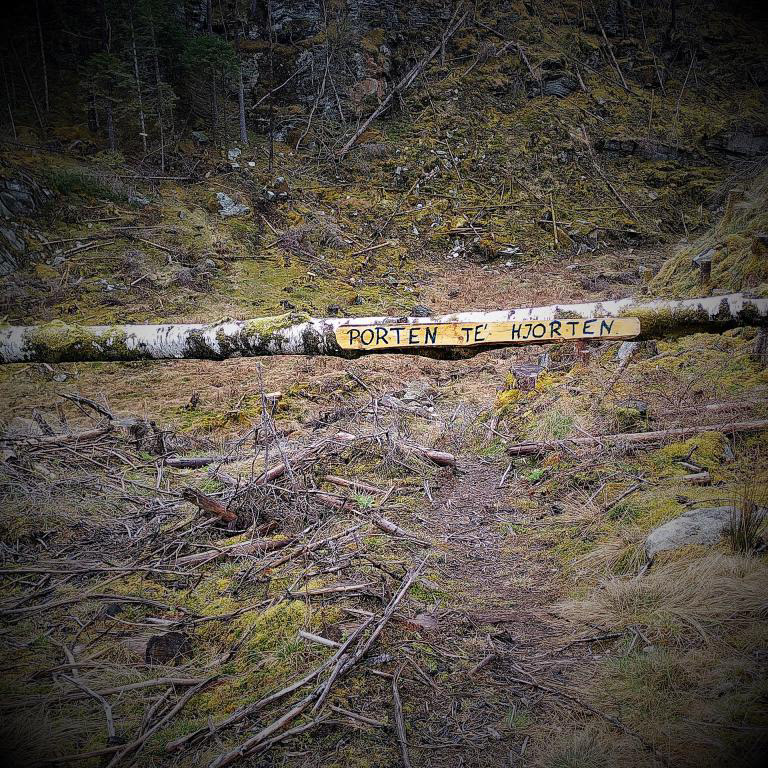 Først må du gjennom Porten te' hjorten. April 2023.