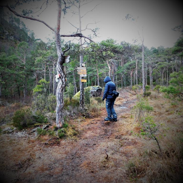 I krysset LINDHOVDEDALEN kan du dra i fleire retningar, mellom anna ned til Svanevik. Februar 2023.