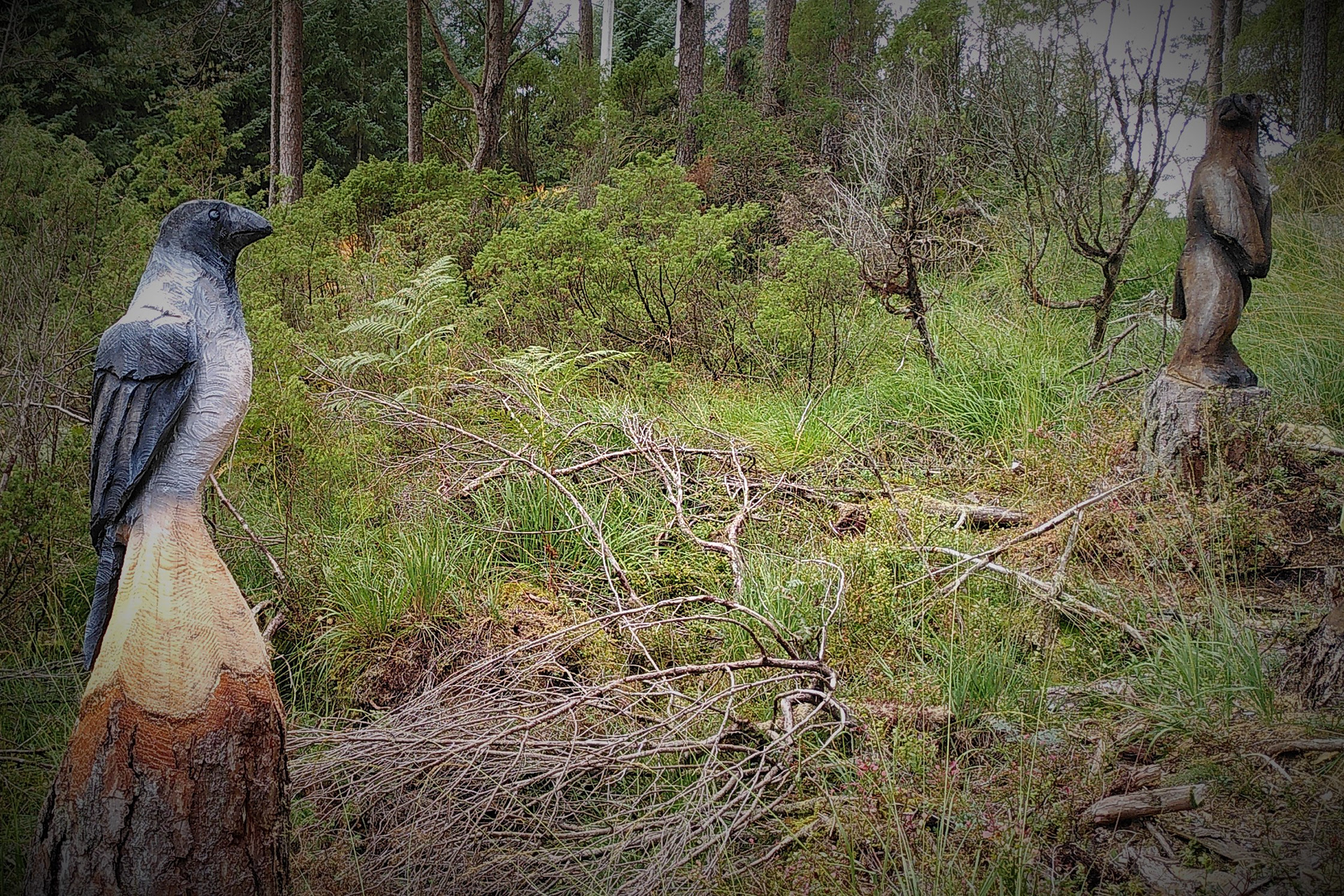 Kråka ertar visst bjørnen, som snur seg vekk.