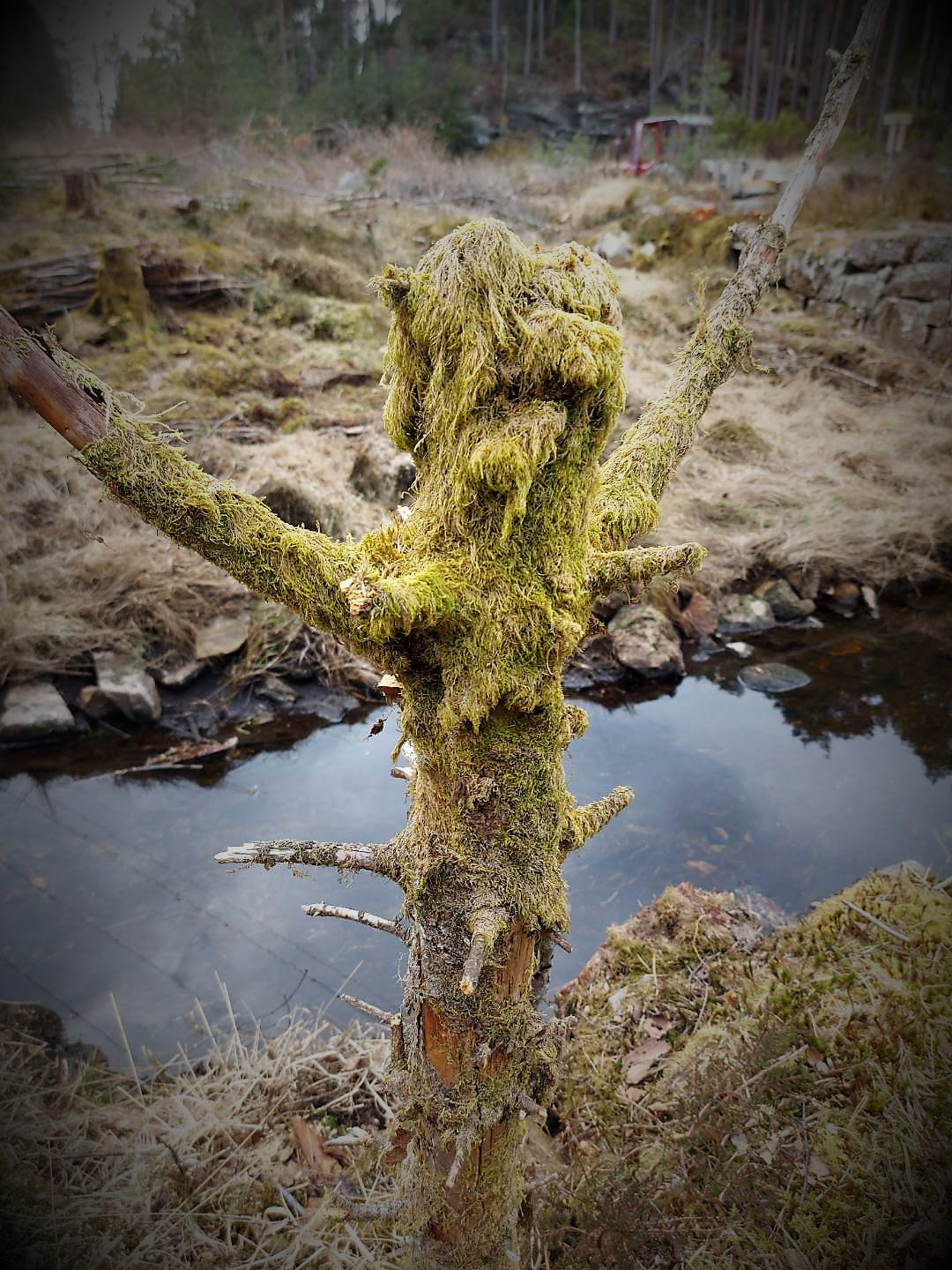 Troll som tek mot deg med opne armar. Foto: Oddny Tofte.