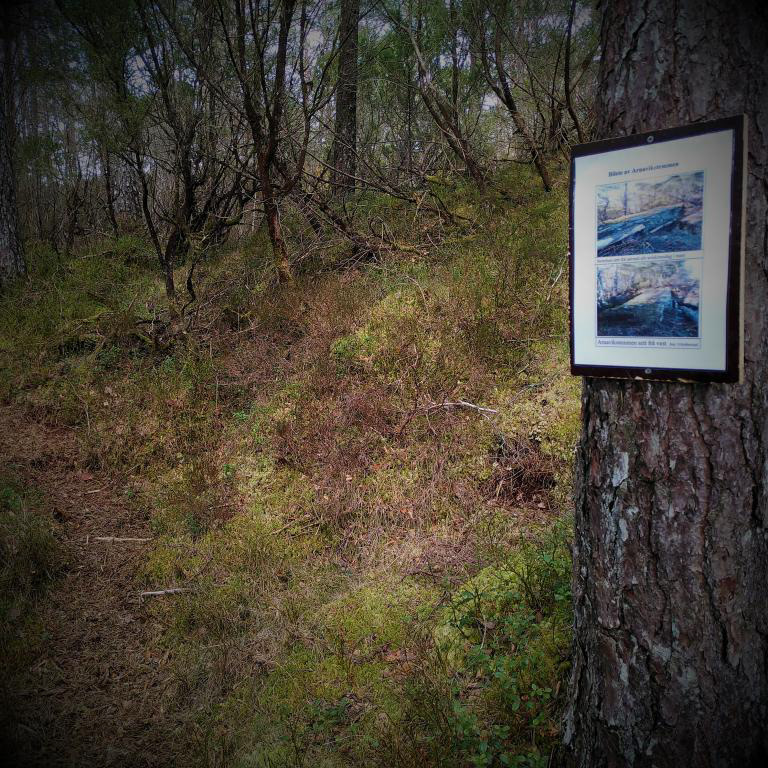 Sigvald Robberstad har laga løypa til FLYPLASSEN, og her er ein av info-plakatane hans, denne om stemmen som du snart skal gå over. April 2023.