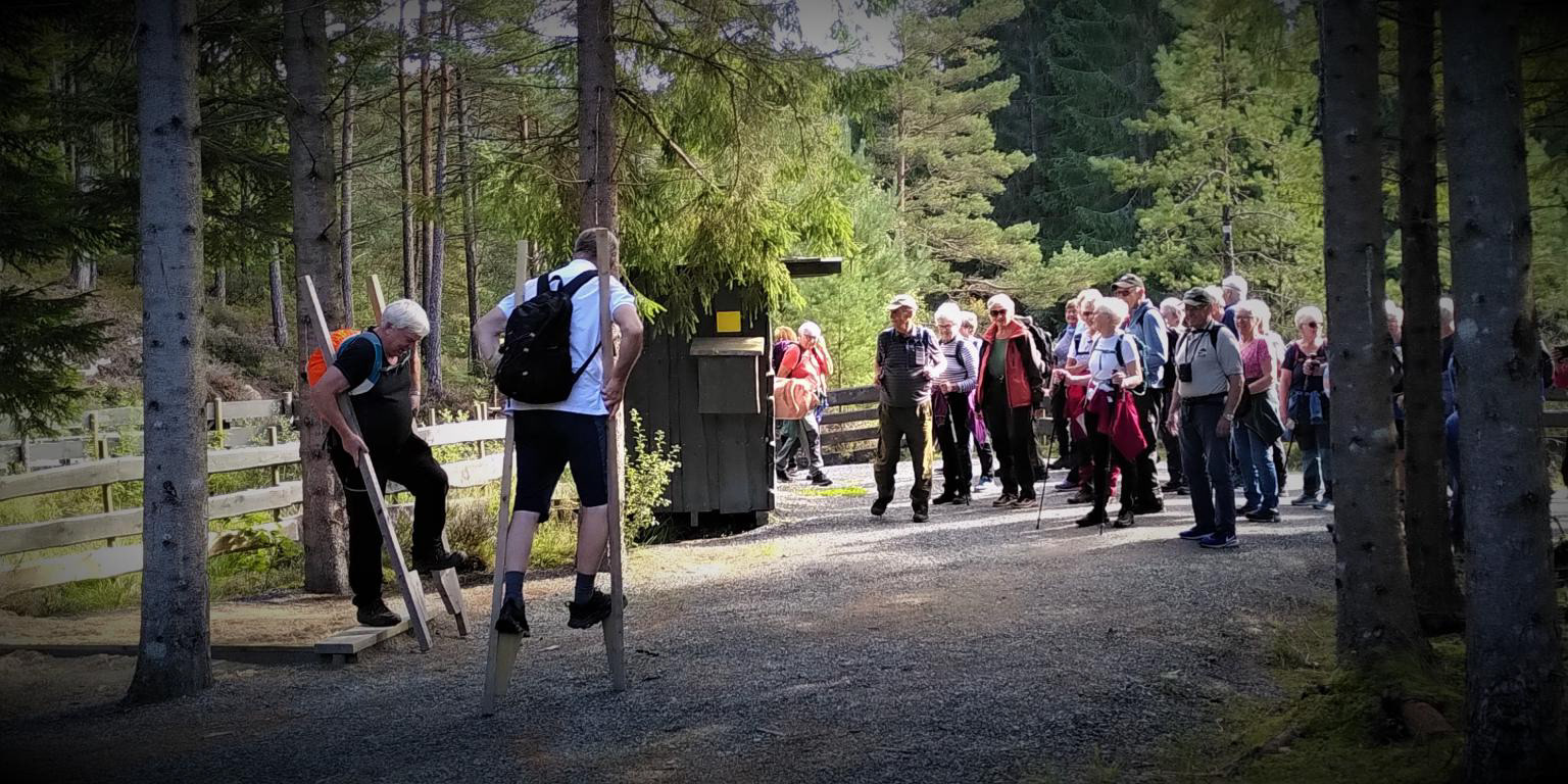 Stylteløp i NATURSTIEN er svært populært, også mellom pensjonistar, som her.