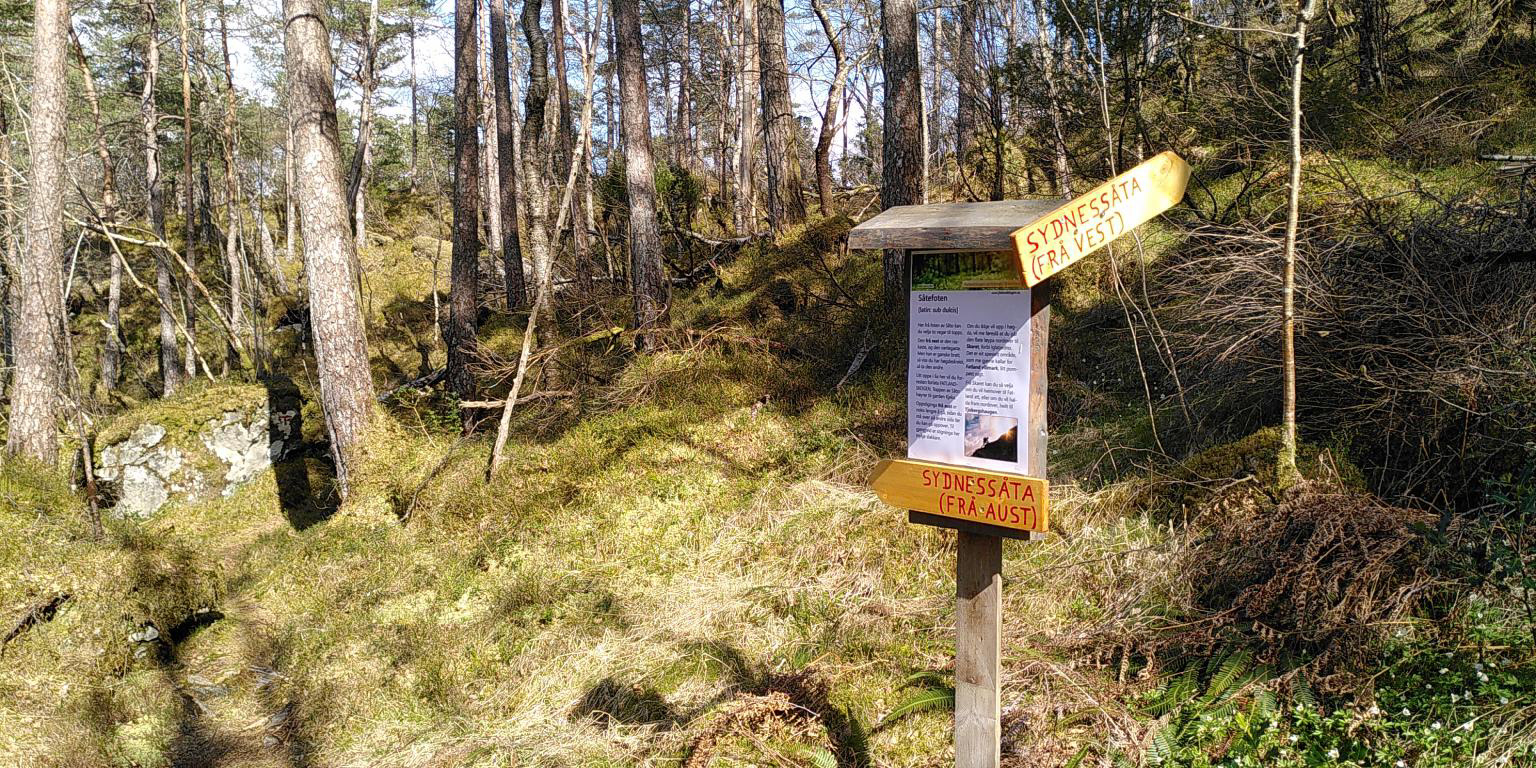 Anten HJARTESTIEN heimover, eller ein svipptur opp på SÅTO.