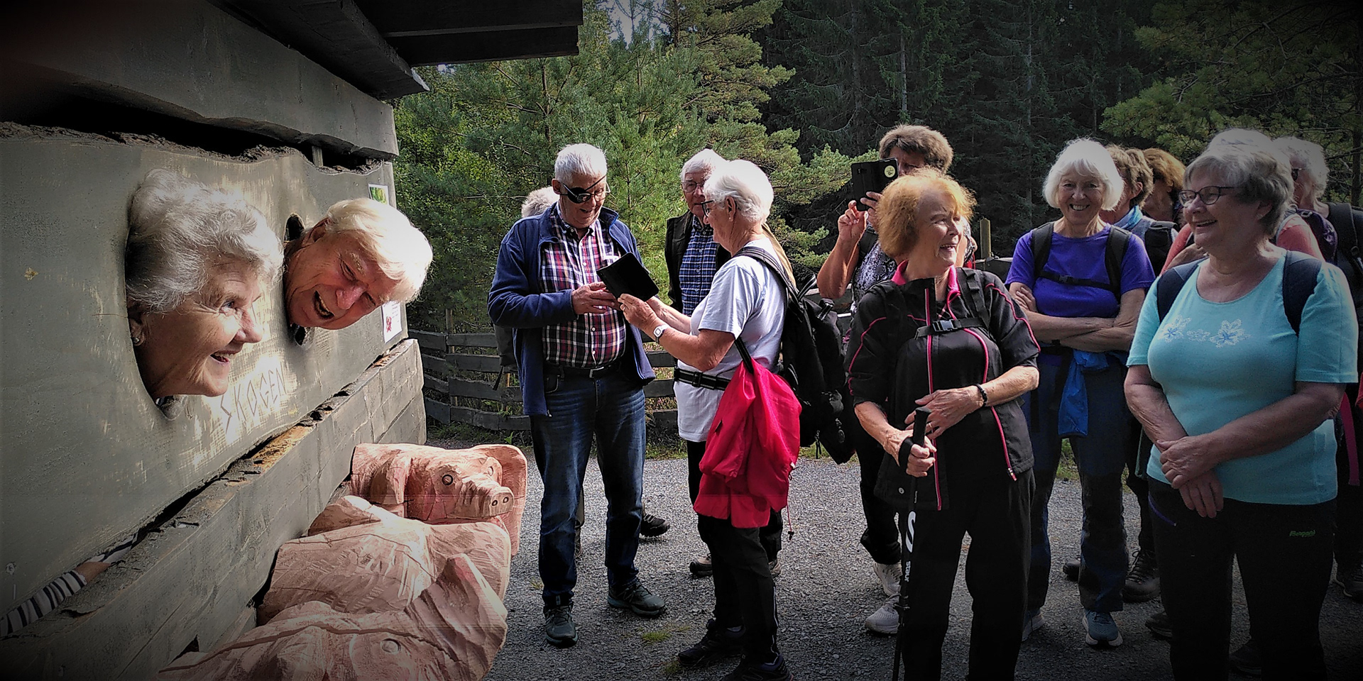 Det v ar populært å ta bilde av SVIN PÅ SKOGEN.