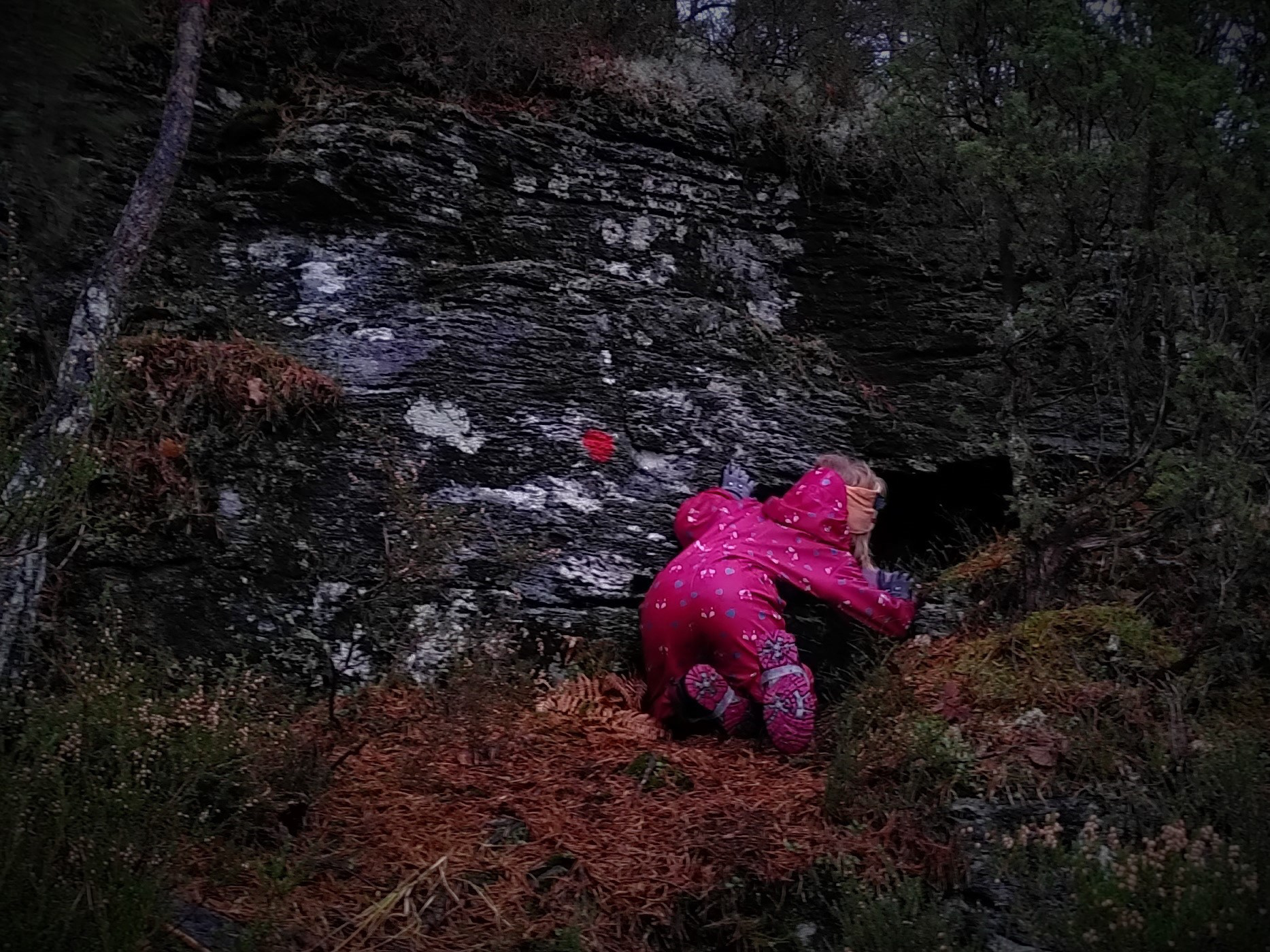 Hallo?! Er du heime i dag, Mikkel?