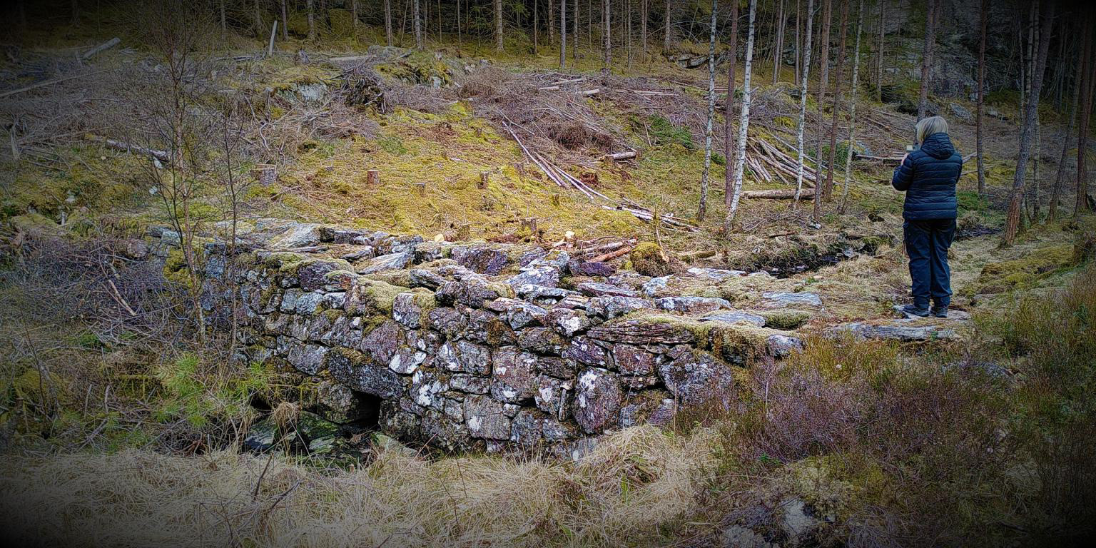 STEMMEN er viktig å ta vare på, ikkje minst fordi han ligg så lett tilgjengeleg for alle. Dette er eit automatisk verna kulturminne, truleg frå 1800-talet.