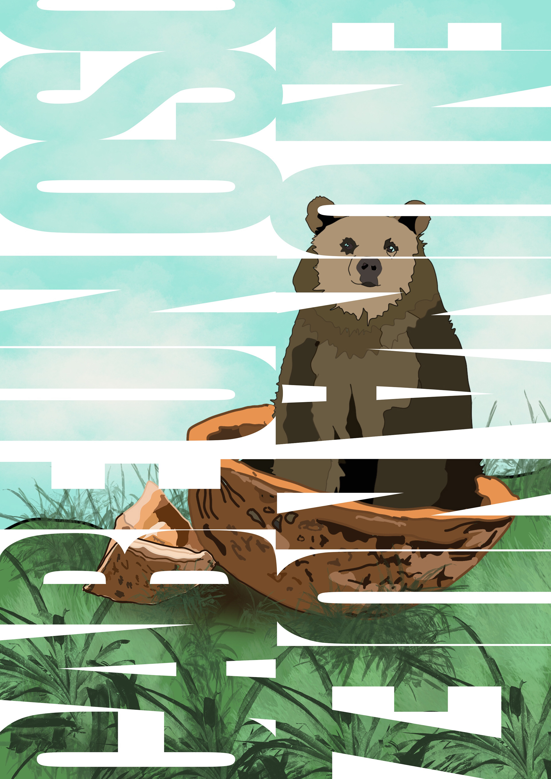 Cabe un oso en una nuez
