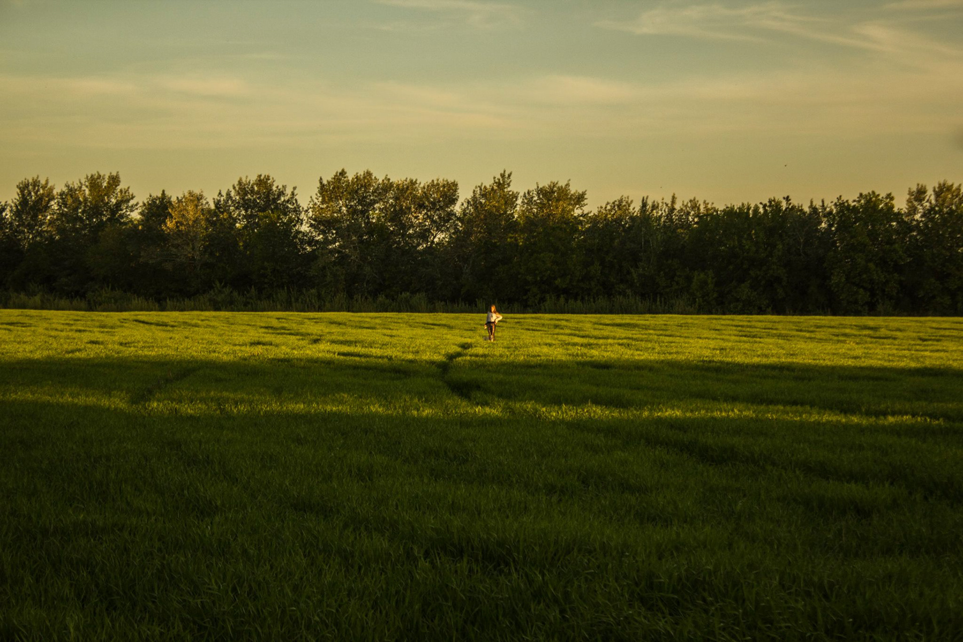 Golden Hour 3