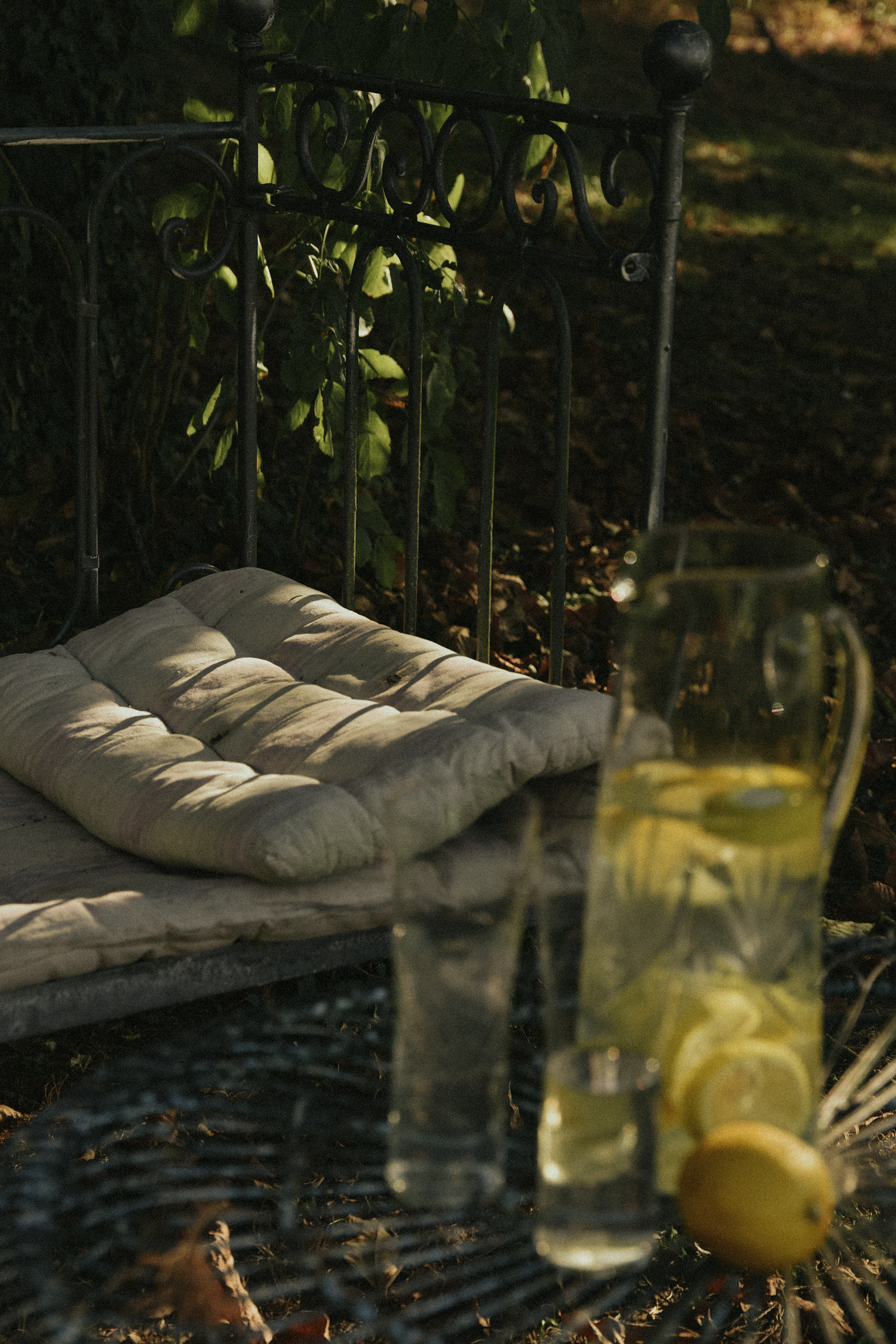 PARDON CHÉRI.E - 2023