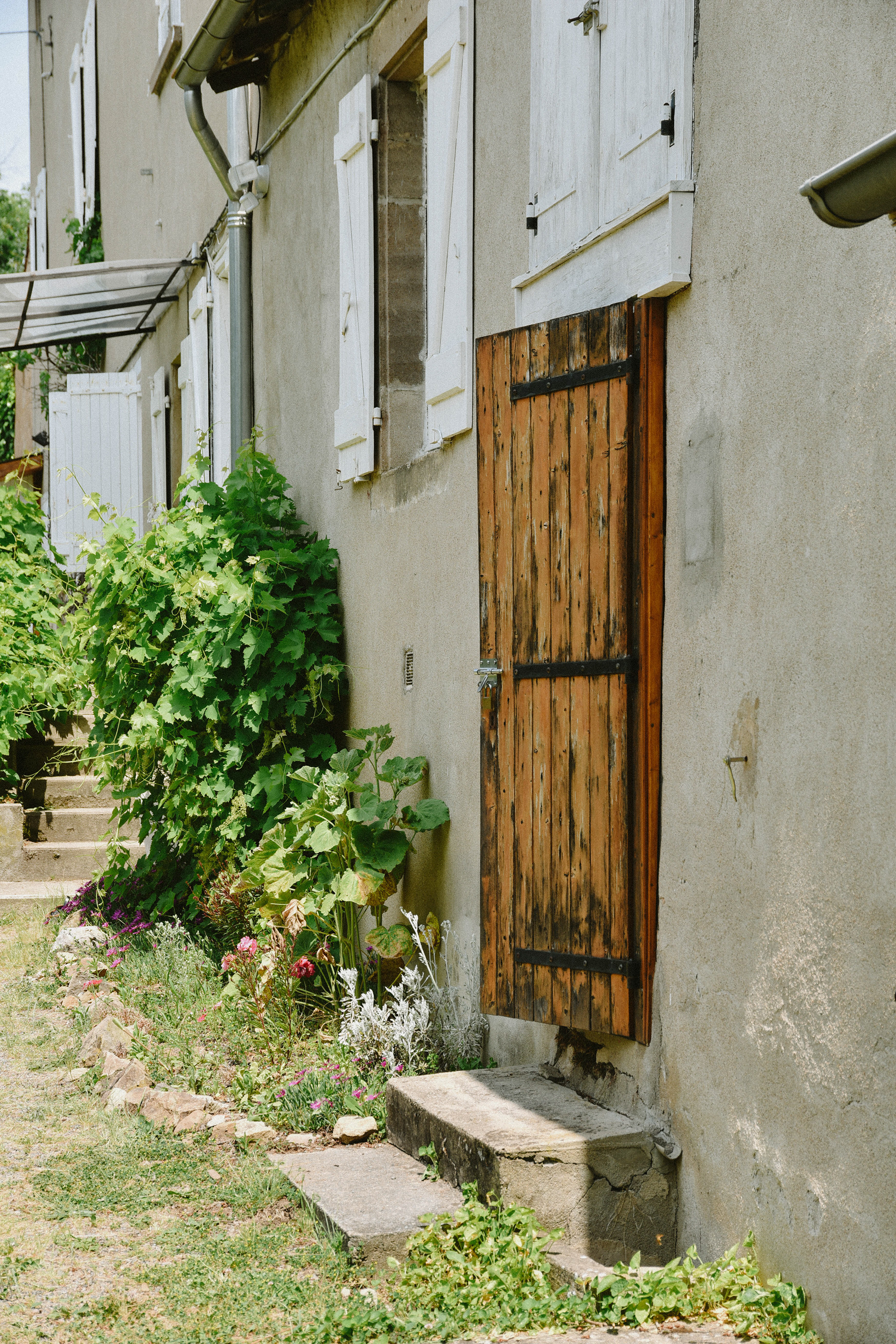 ELODIE ET REMY  - 2023