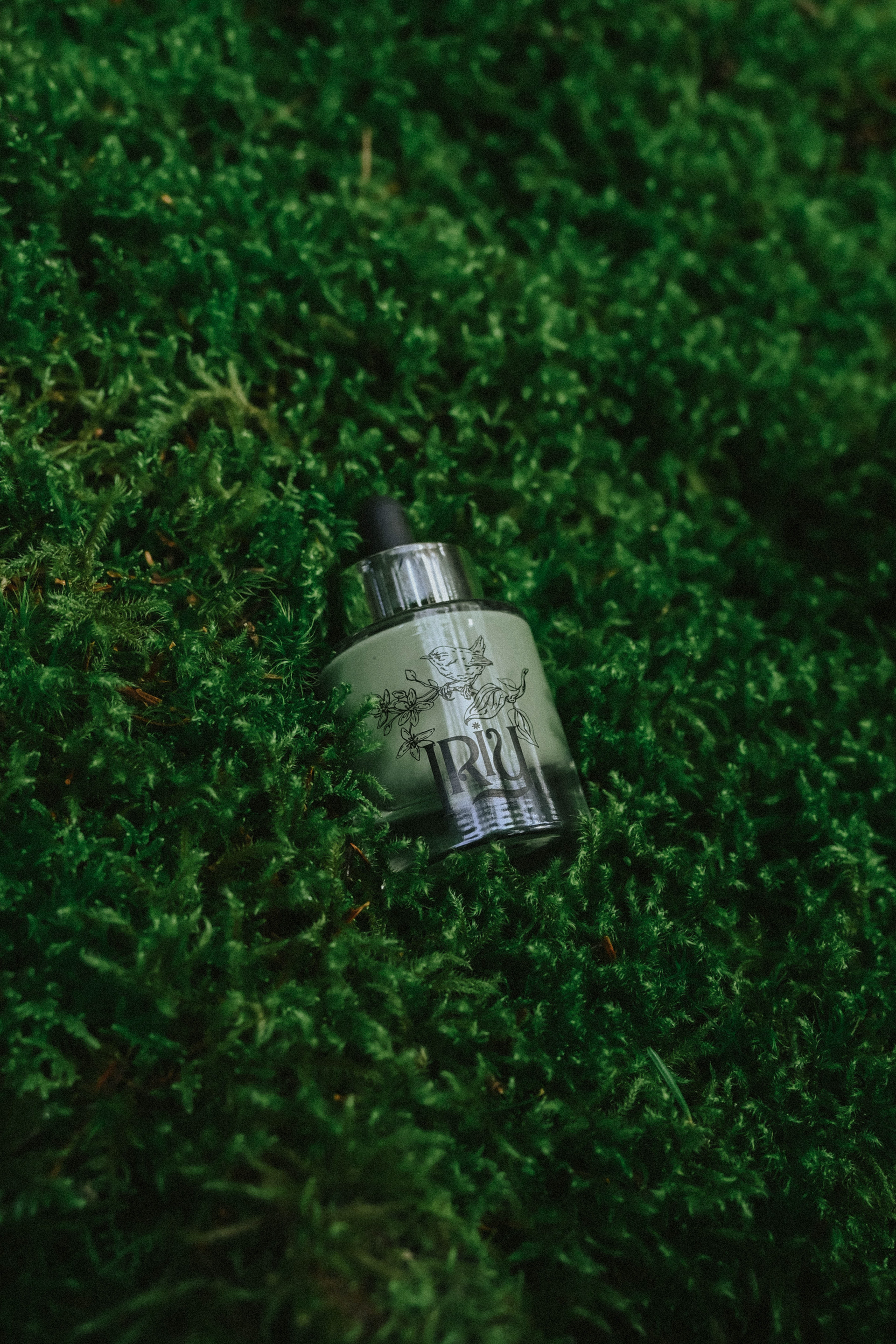 IRIY COSMÉTIQUE - 2025