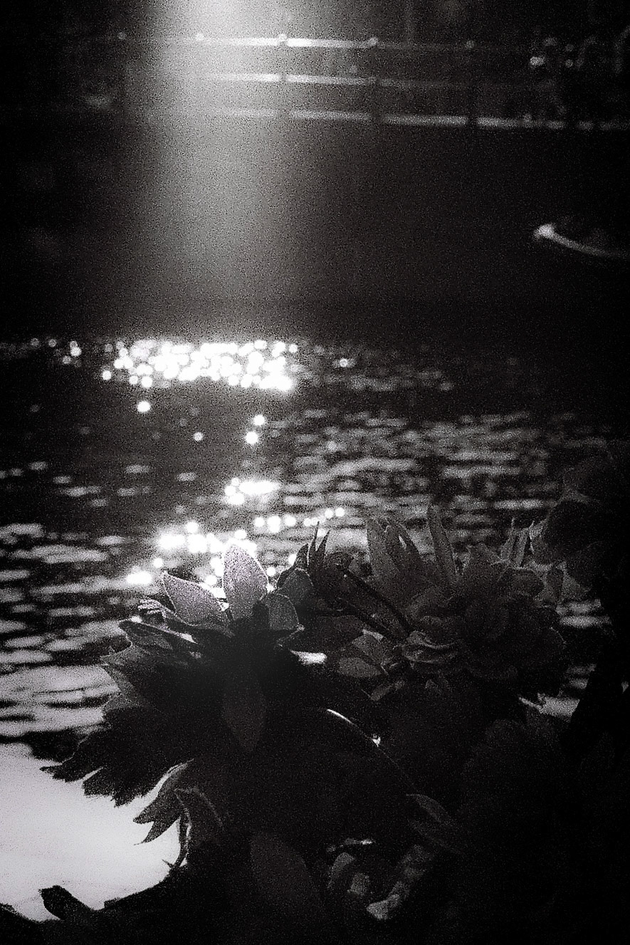 Film camera