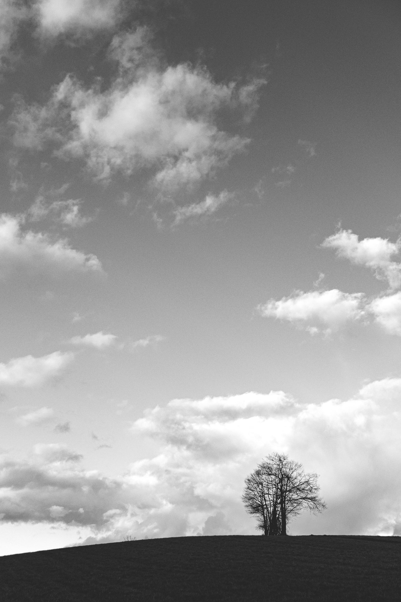 Lumix GX9