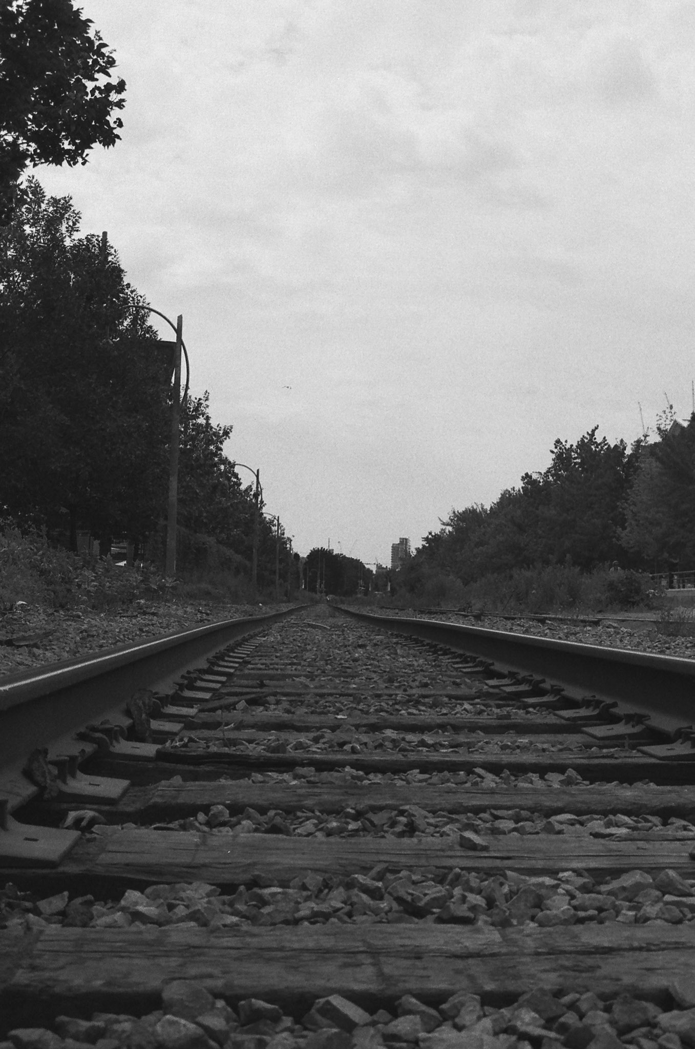 Film camera