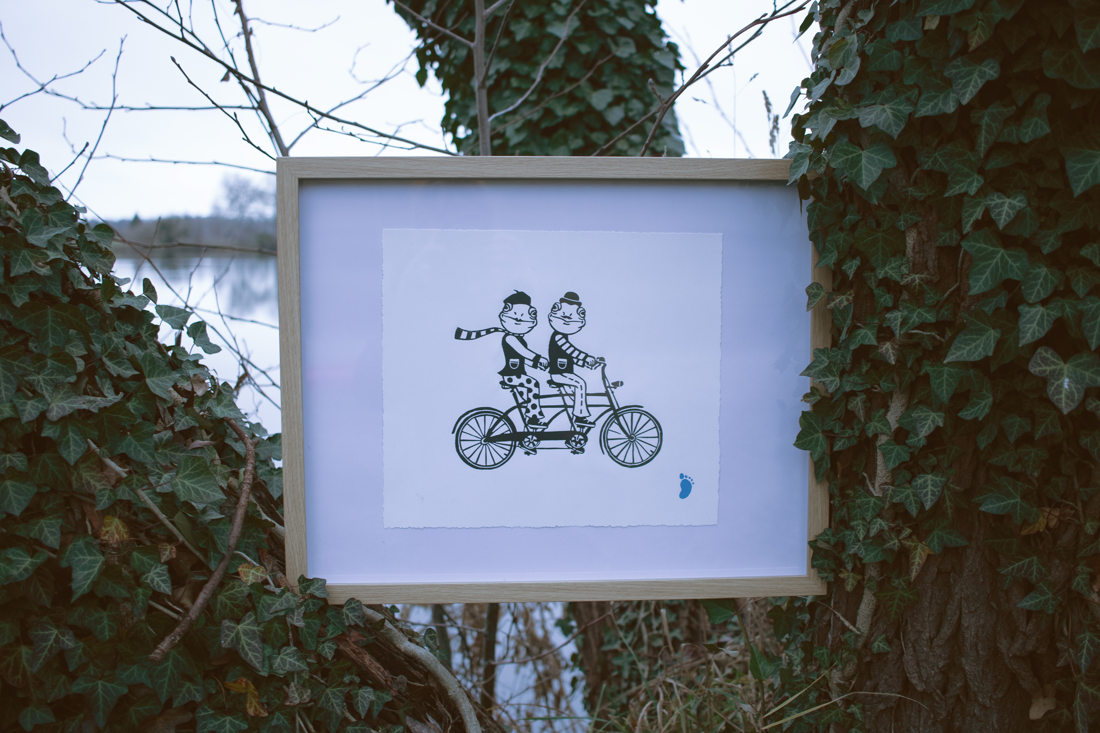 Fahrradfahrende Frösche