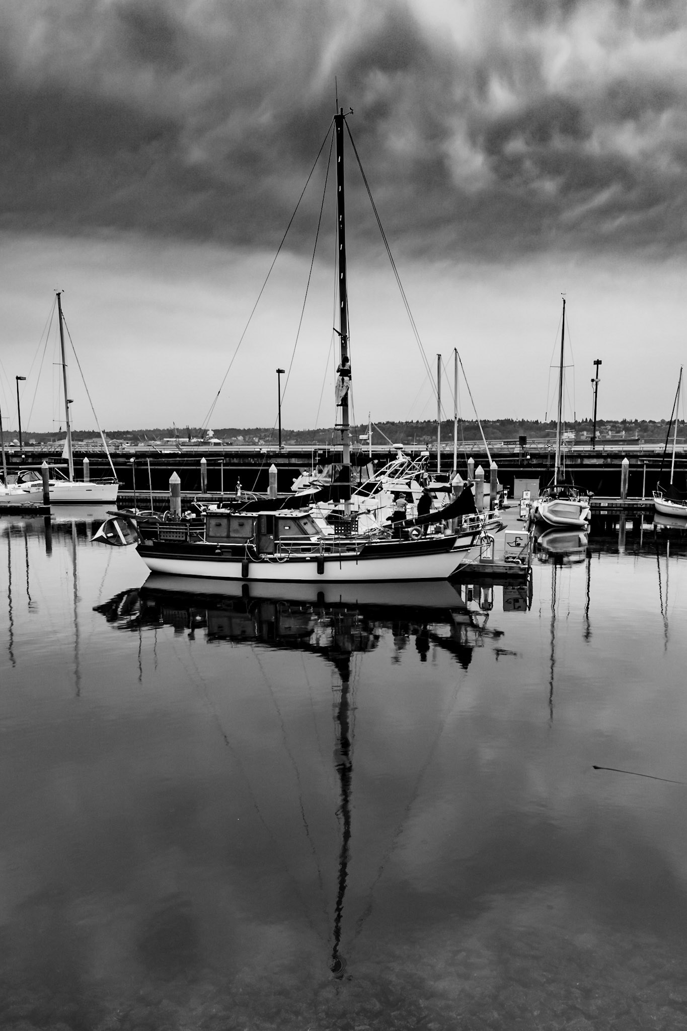 SAILBOAT IN PORT ON ELLIOTT BAY