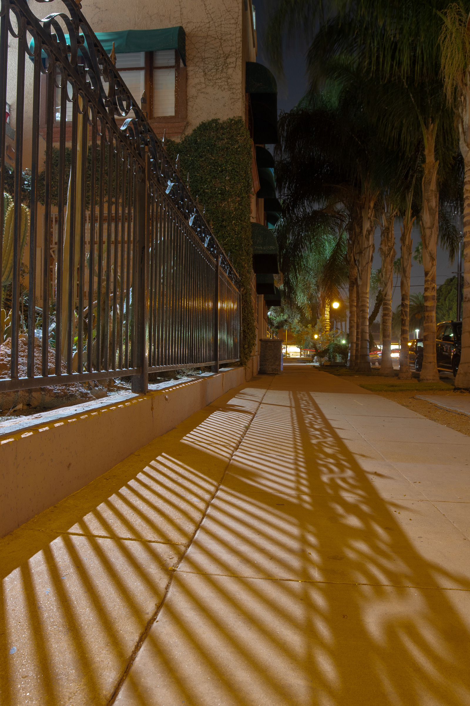 FENCE & SHADOWS DOWNTOWN RIVERSIDE