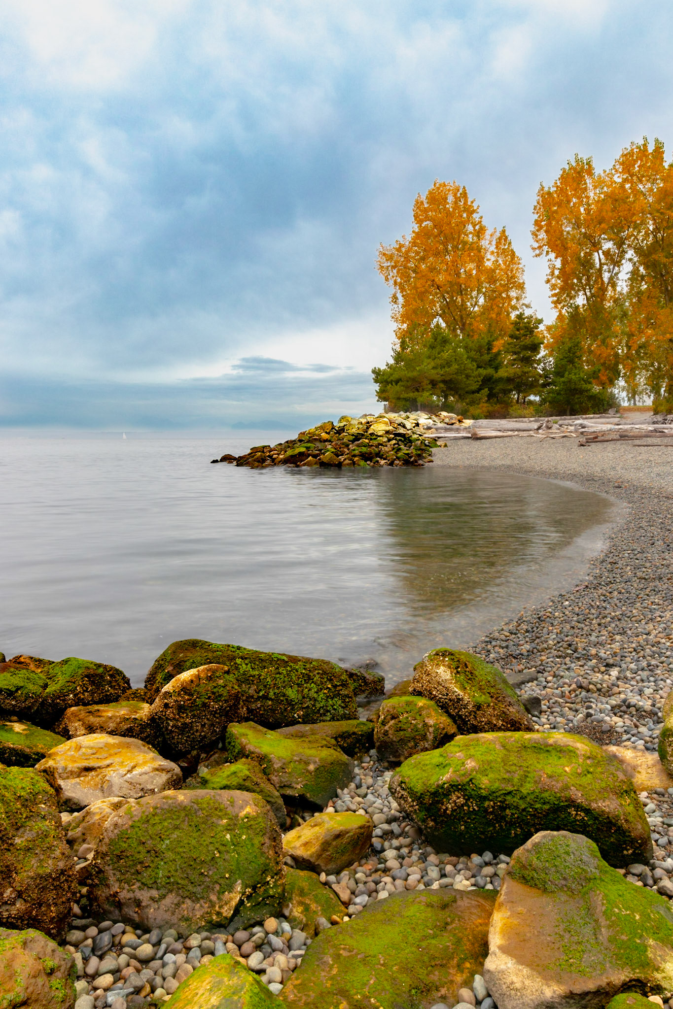 BEACH ON ELLIOTT BAY
