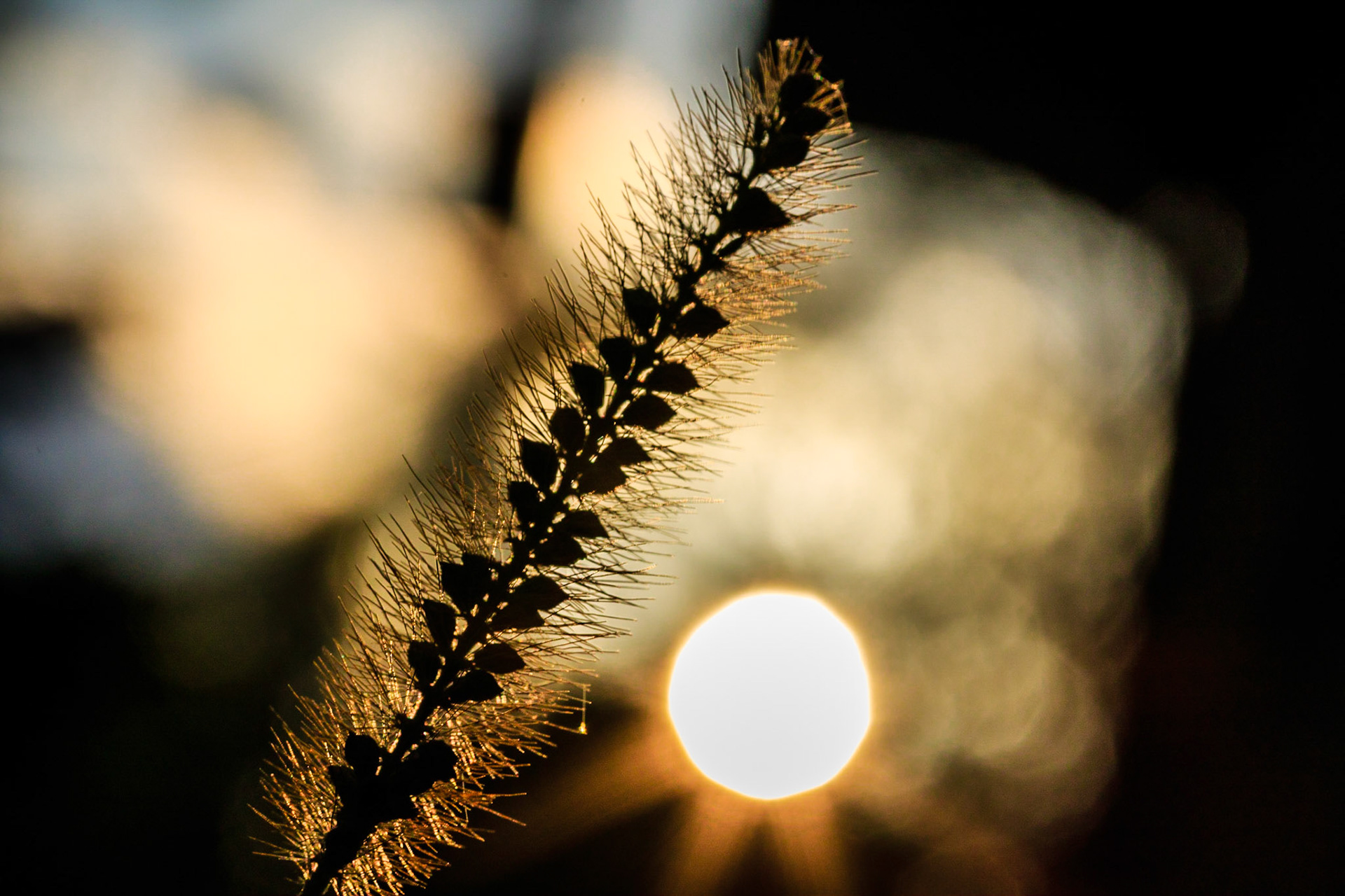 And God said, "Let there be light," and there was light.