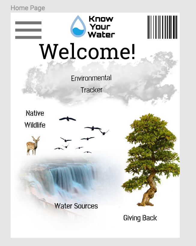 Home Page
