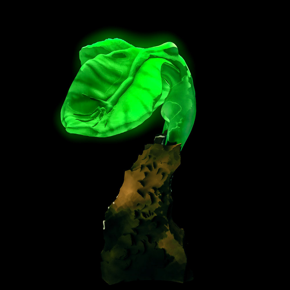 Joshua Killen, Green Woman 6.2, 2023, Digital Rendering