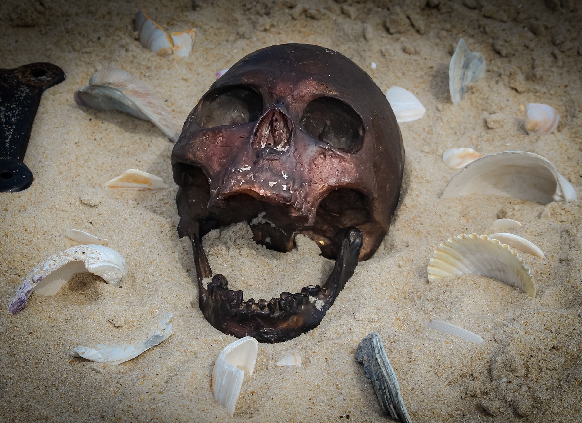 Installation "chorus"