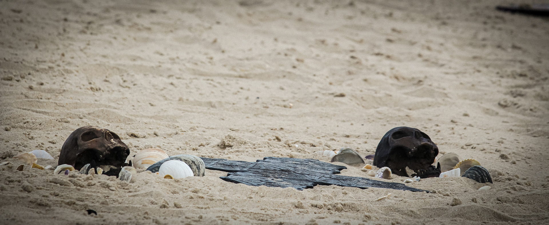 Installation "nexus"