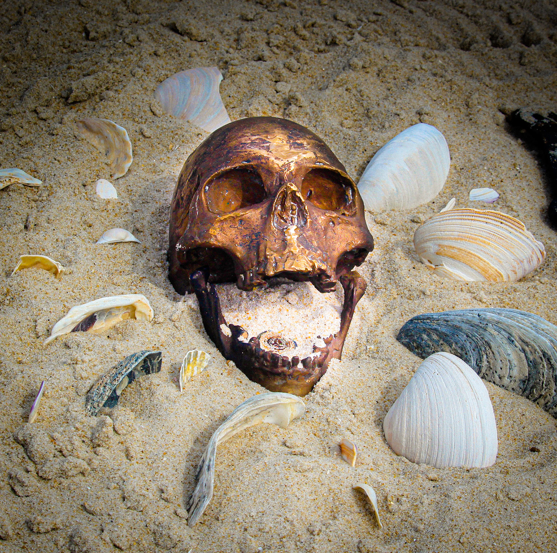 Installation "chorus"