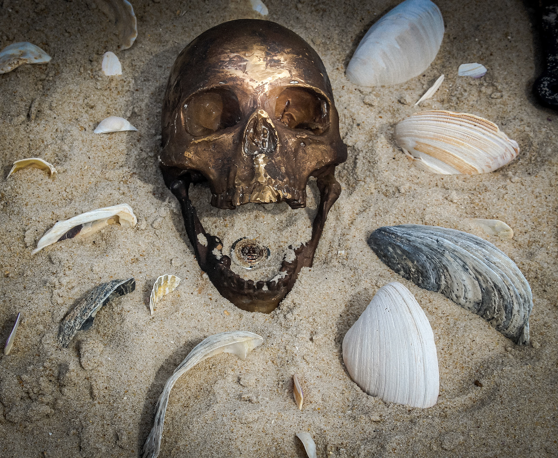 Installation "chorus"