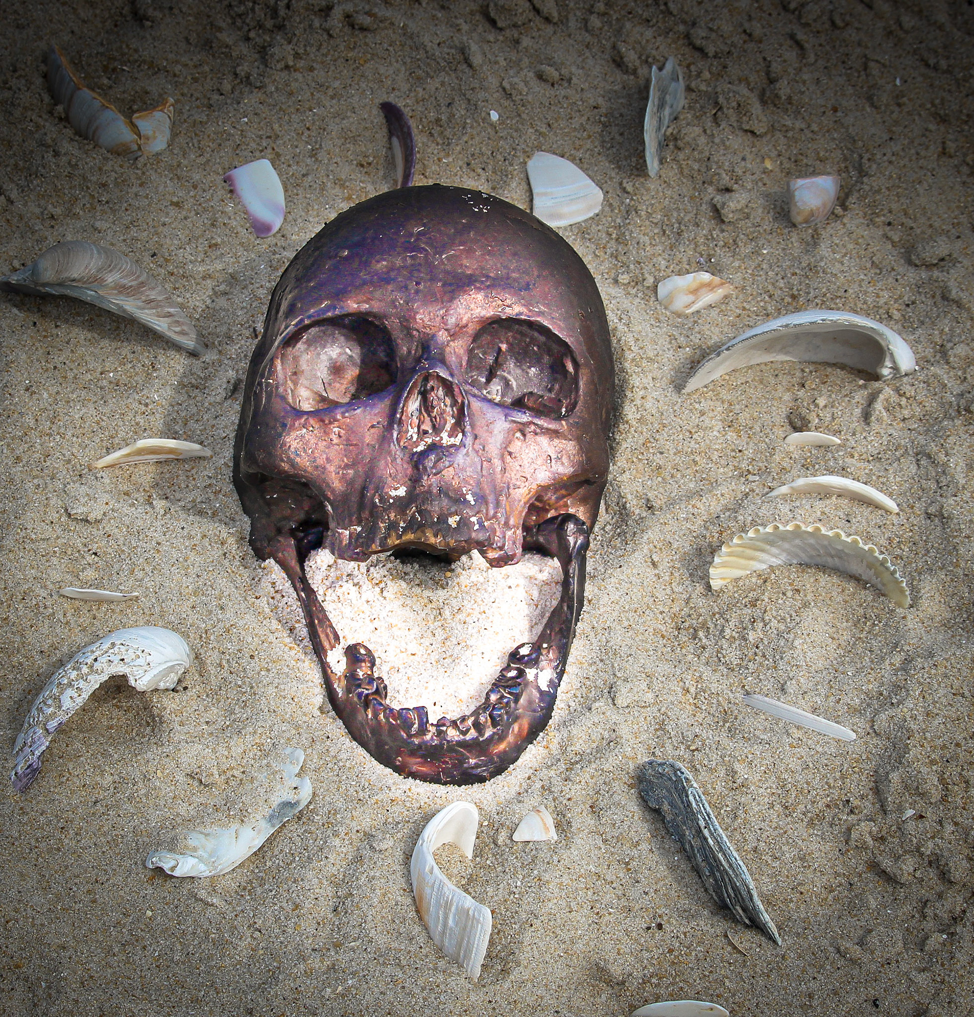 Installation "chorus"