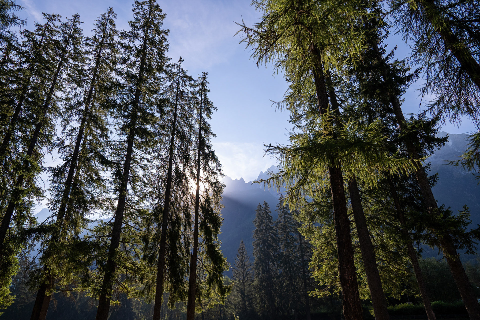nature in Chamonix