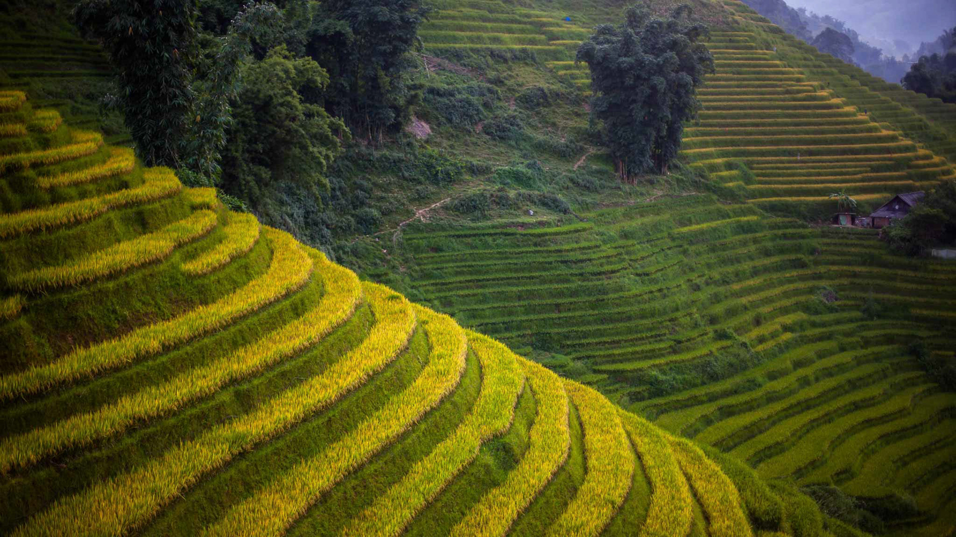 Sapa, Vietnam
