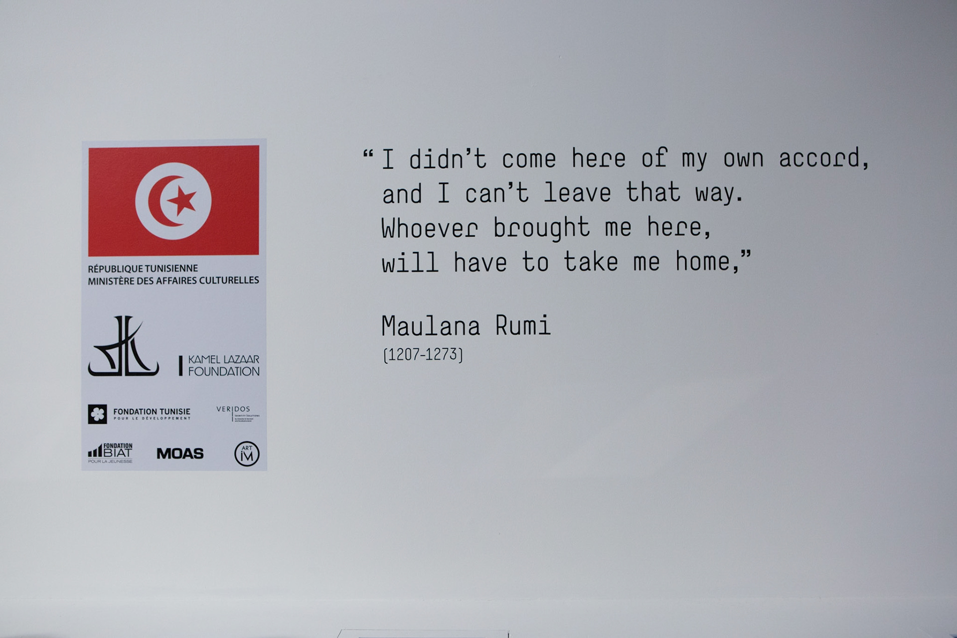 57A Biennale di Venezia 2017 - © Giovanni De Angelis